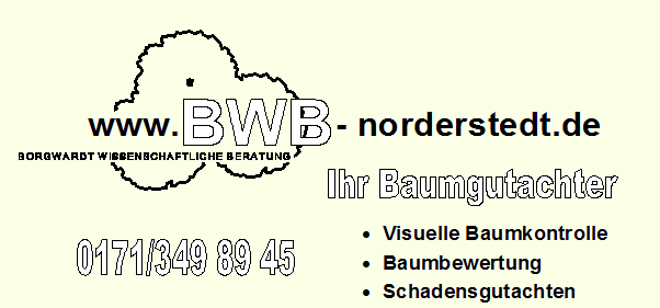 Ihr Baumgutachter
